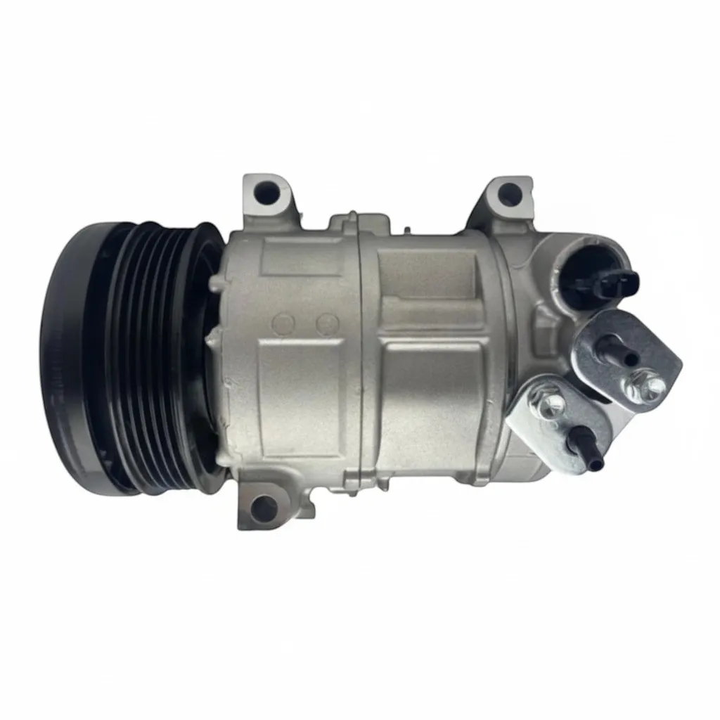 PZR.DCP09016