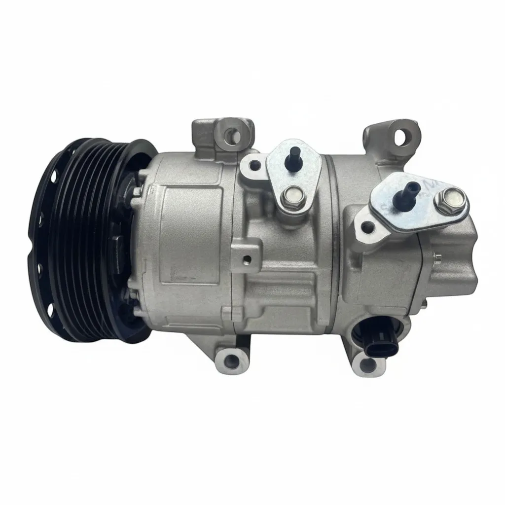 PZR.DCP50114