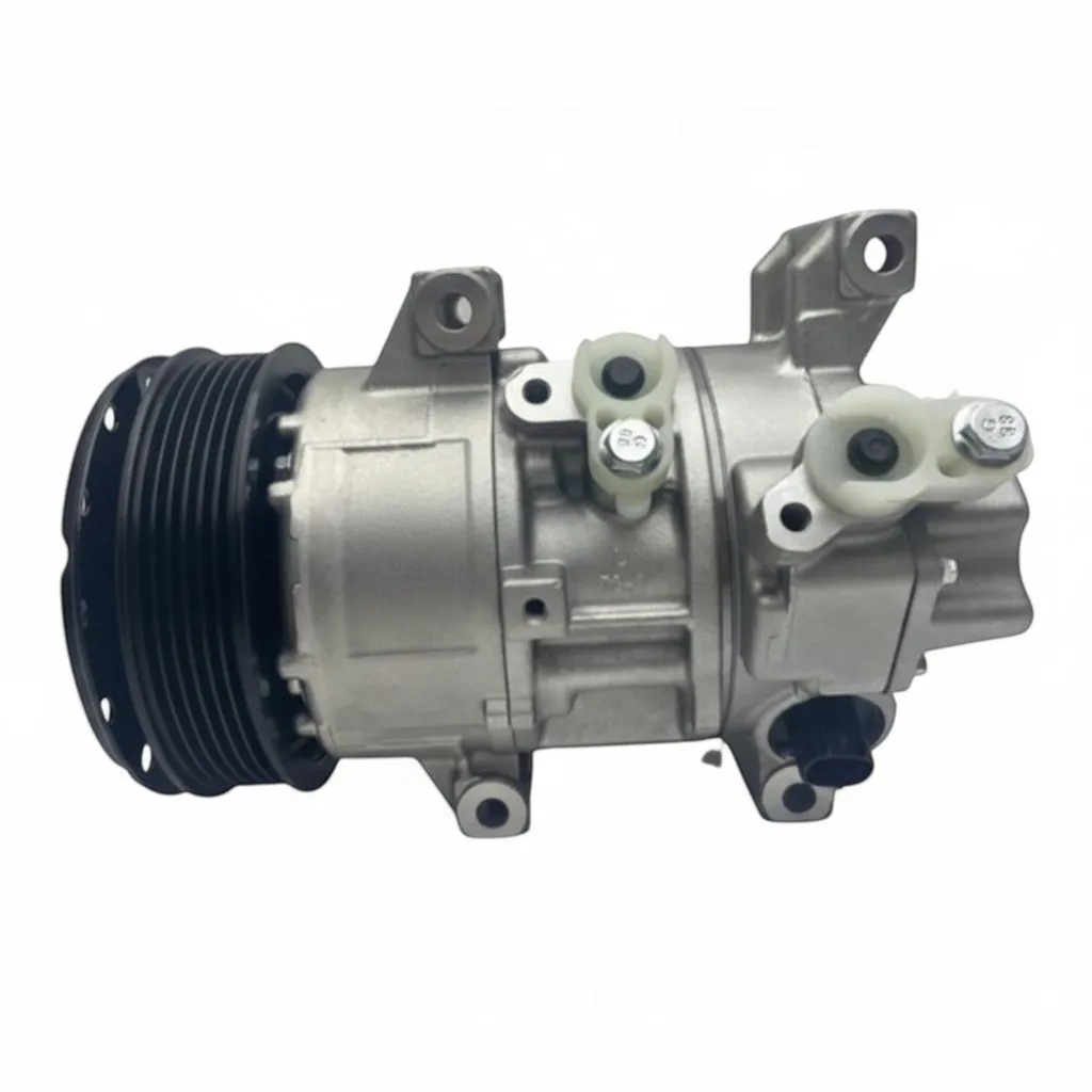 PZR.DCP50124
