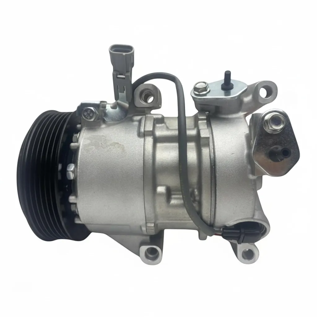 PZR.DCP50251